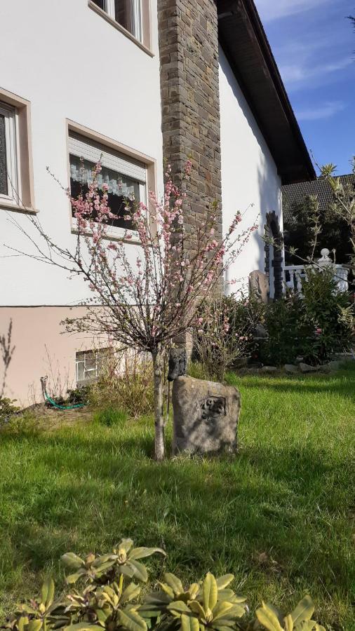 Im Vulkanland Fewo Bis 6 Personen Ettringen  Esterno foto